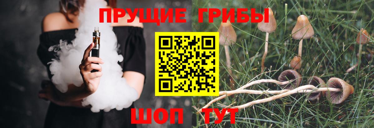 Улан-Удэ  Галлюциногенные грибы Cubensis  Псилоцибиновые грибы Psilocybe  Вход с VPN 